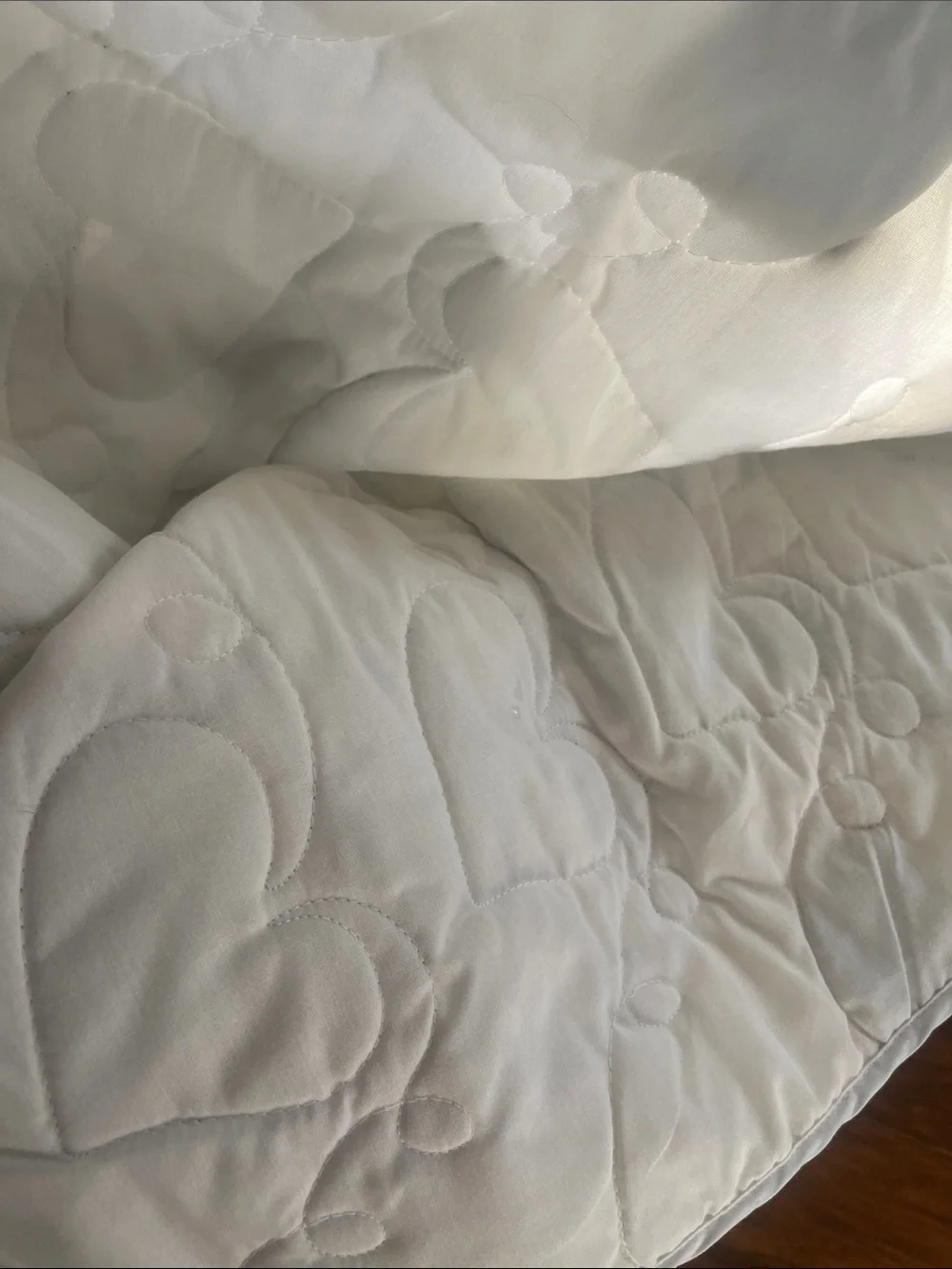 Twin quilt or full top